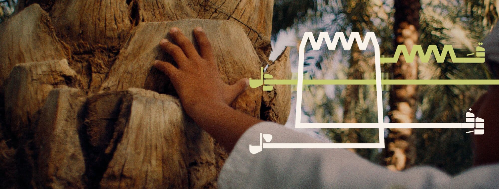 نبذة عن عام الاستدامة