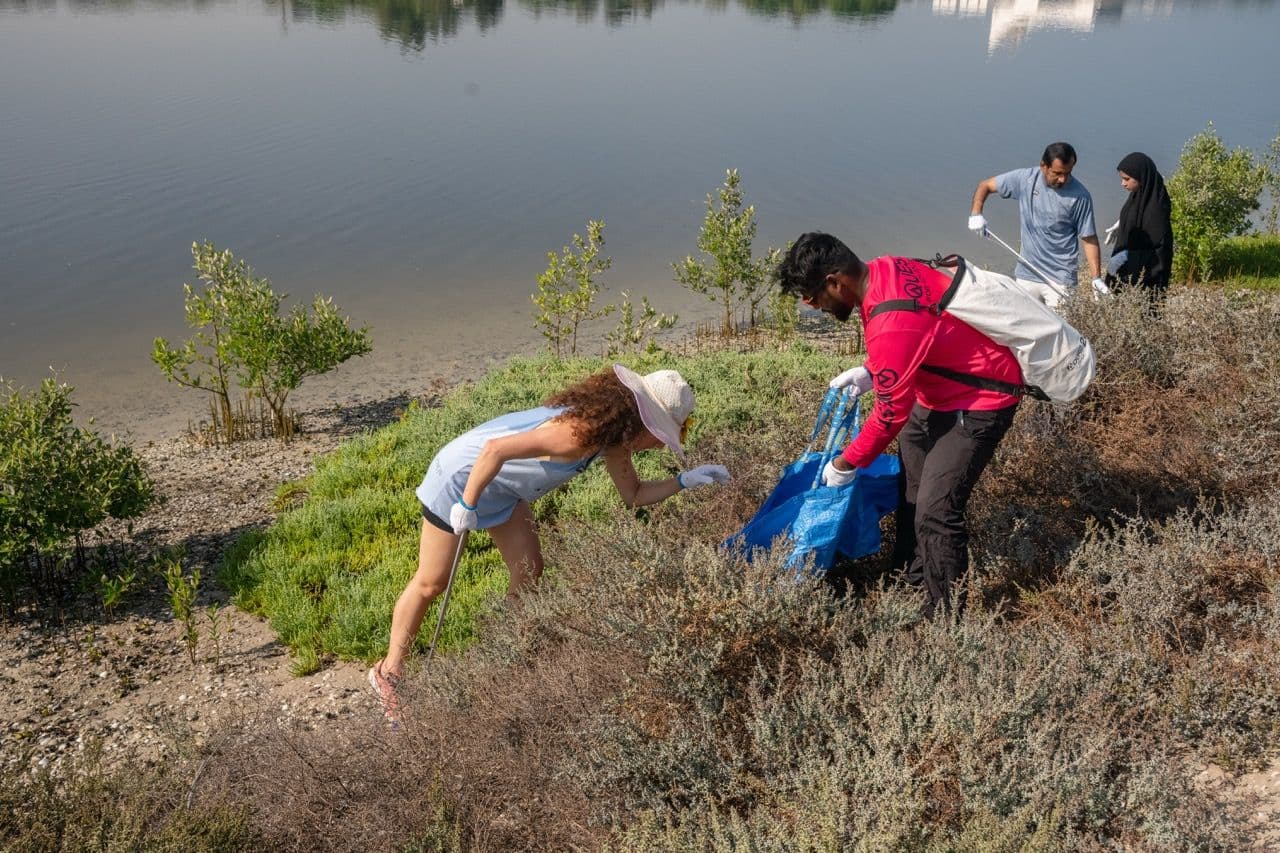 Mangrove Champions - Planting: Abu Dhabi