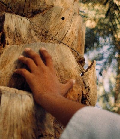 COMMUNITY IMPACT TRACKER