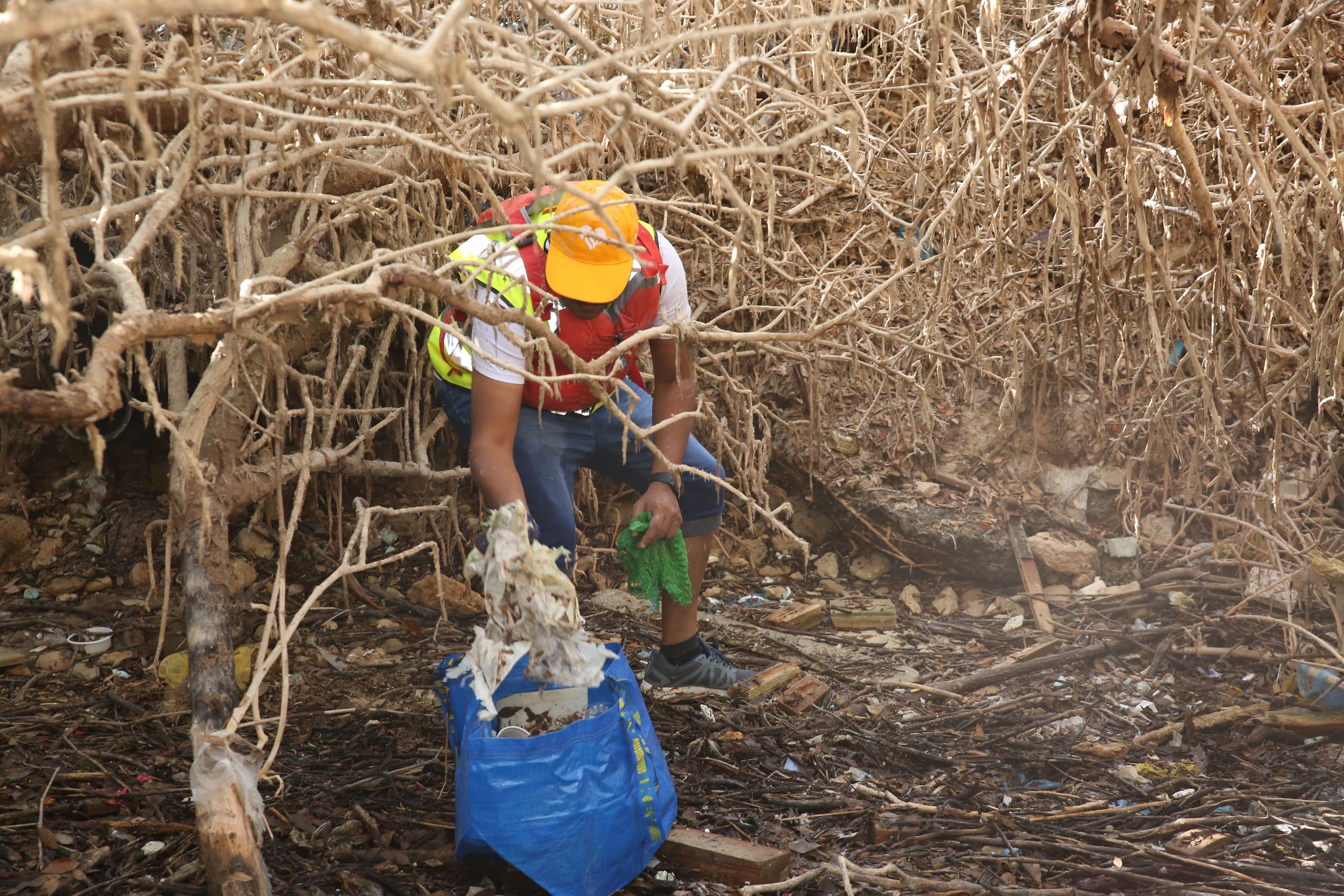 Mangrove Champions - Clean Up: Dubai