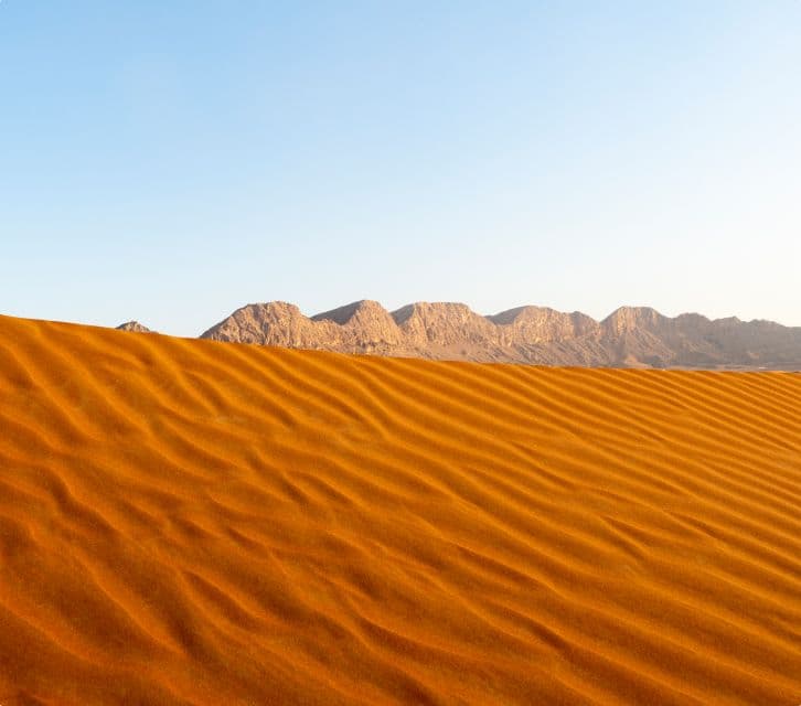 UAE Efforts and Resources