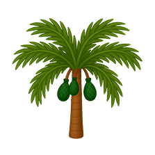Palm_Tree_Emoji.png