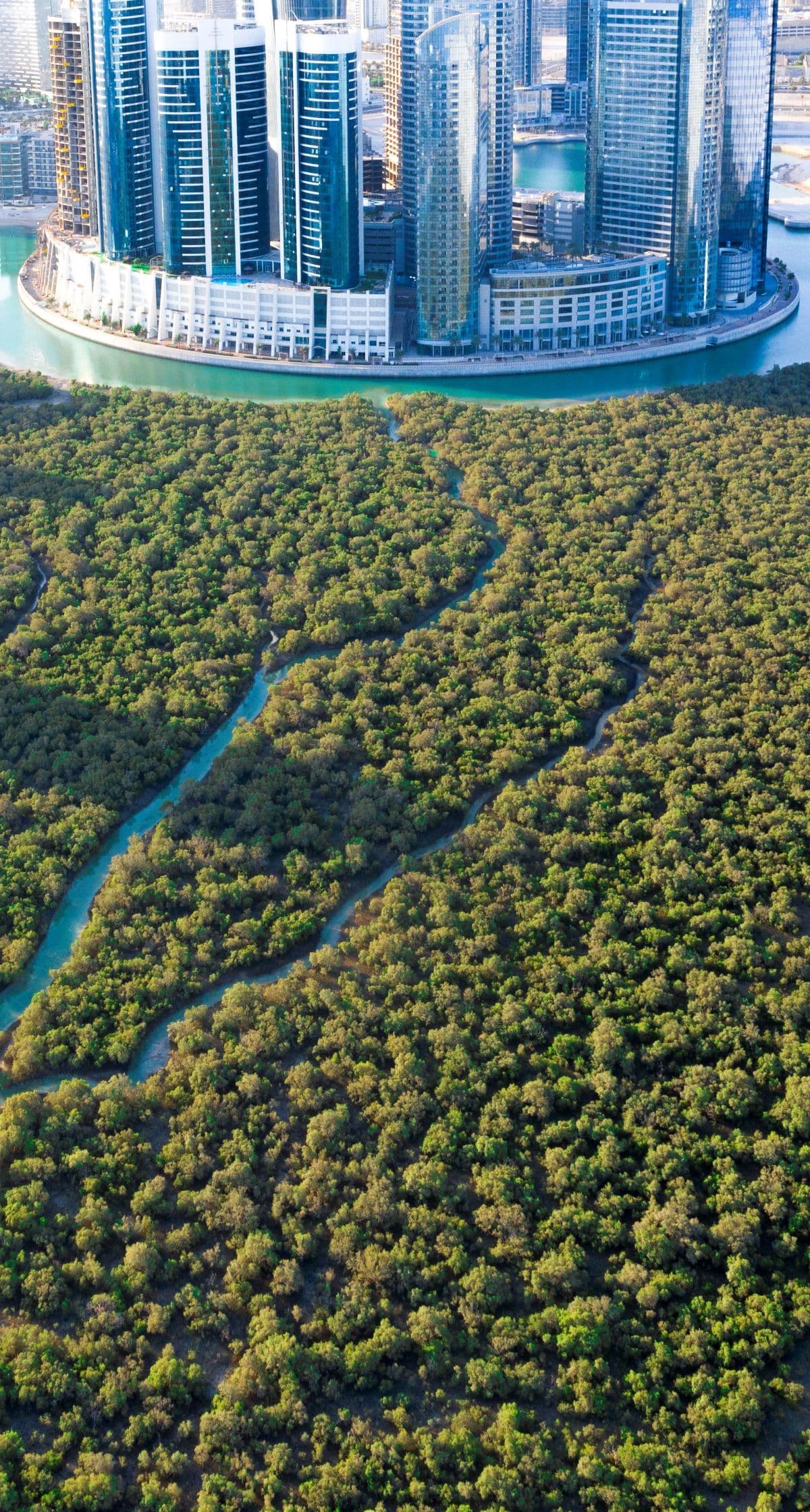 الأجندة الوطنية الخضراء - 2030