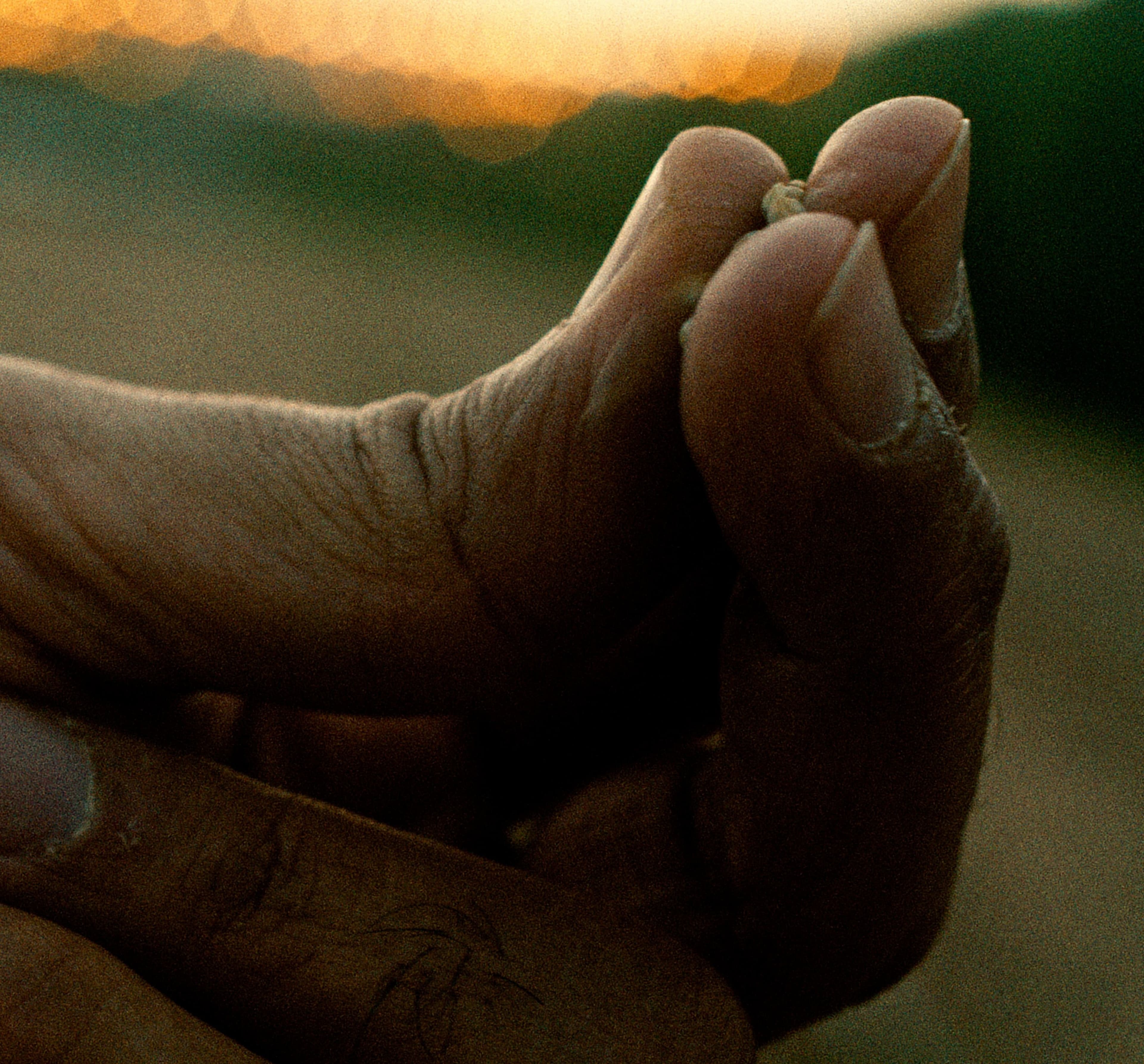 Open Call For Entities