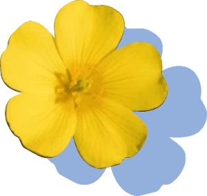 HOMEPAGE_MEDIA_EMOJI 1.png