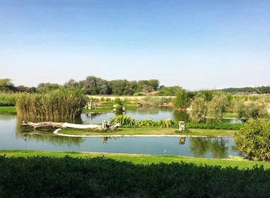 Wasit Nature Reserve