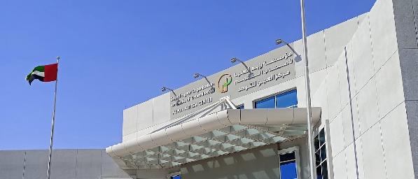 summer is joy and fun